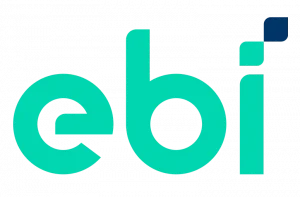ebi-soluciones-digitales-logo