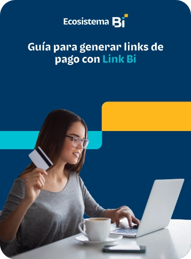 guia-para-generar-links-de-pago-con-Link-Bi guia-para-generar-links-de-pago-con-Link-Bi