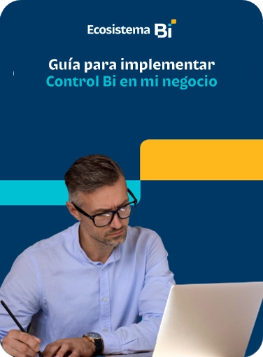 guia-para-implementar-Control-Bi-en-mi-negocio-new guia-para-implementar-Control-Bi-en-mi-negocio-new