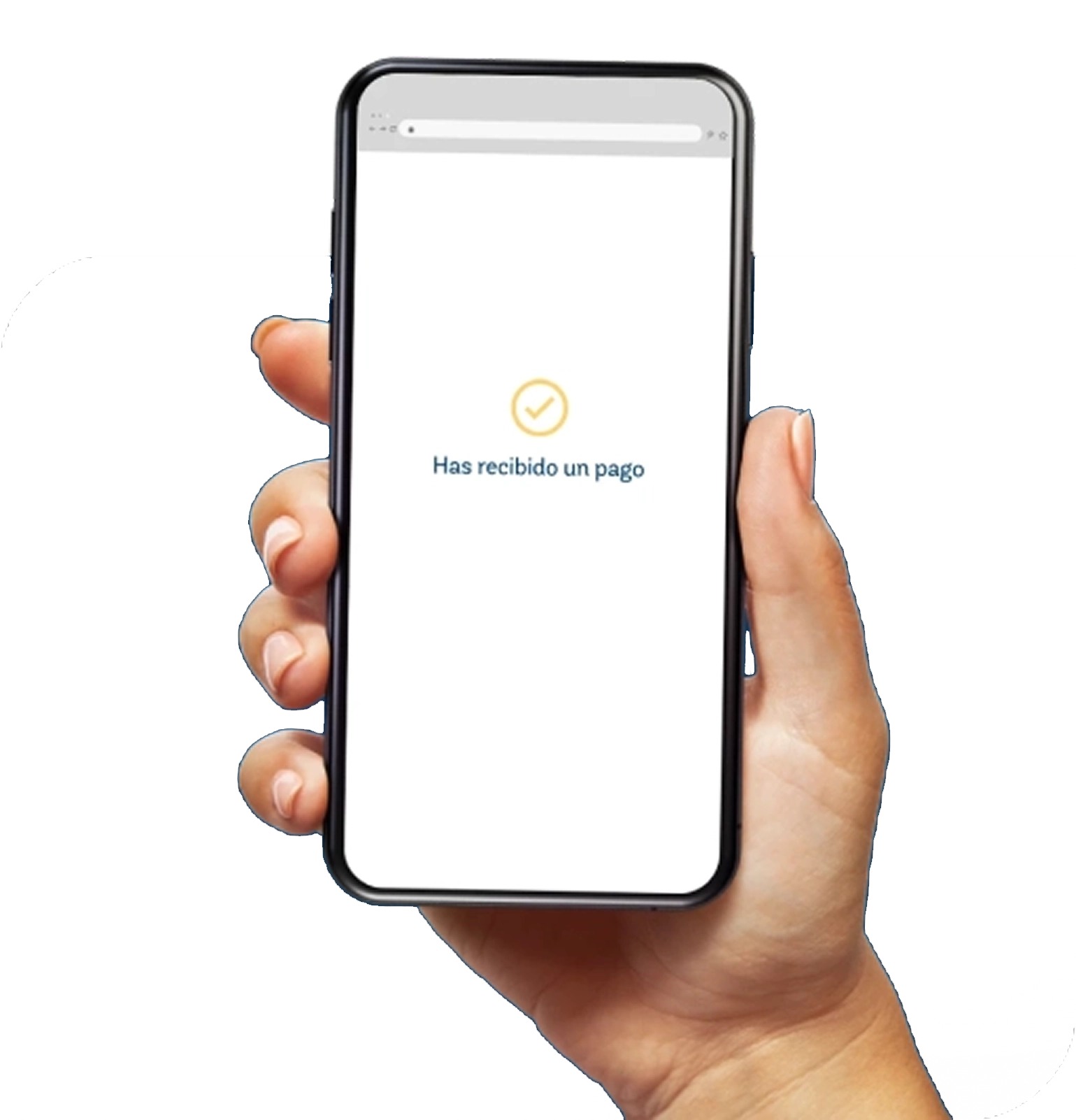 link-bi-p3 link-bi-p3